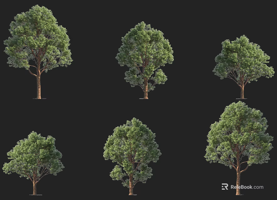 Arbor Trees Collection With Various Shapes And Forms Display On Black Background 3d model