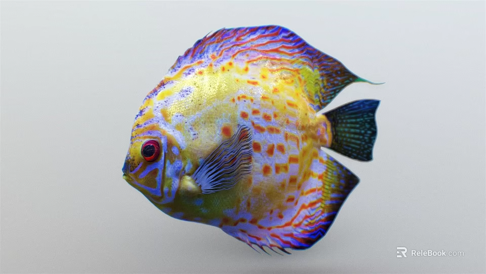 Vibrant Freshwater Discus Fish With Colorful Spots Stripes And Red Eyes 3d model 