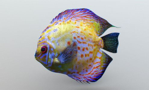 Modern Fish 3d model