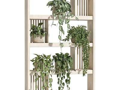 Indoor Garden Decor With Wooden Shelf And Multiple Hanging Green Potted Plants 3d model