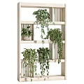 Indoor Garden Decor With Wooden Shelf And Multiple Hanging Green Potted Plants