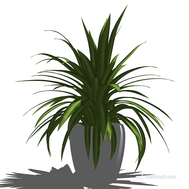Lush Bonsai Plant With Long Green Leaves In Gray Ceramic Pot 3d model 