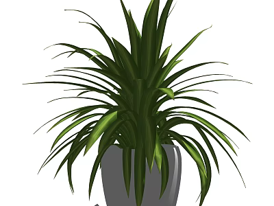 Lush Bonsai Plant With Long Green Leaves In Gray Ceramic Pot 3d model
