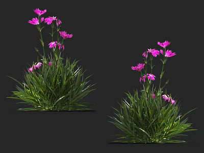 Beautiful Pink Flowers Growing In Green Grass Clusters With Vibrant Blooms 3d model
