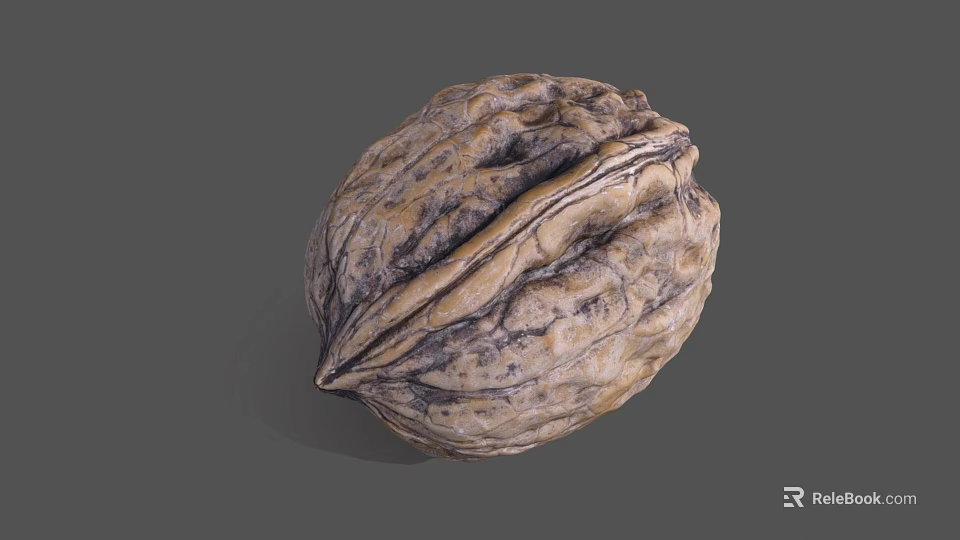 Fresh Whole Walnut With Natural Textured Shell On Gray Background 3d model 