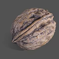 Fresh Whole Walnut With Natural Textured Shell On Gray Background