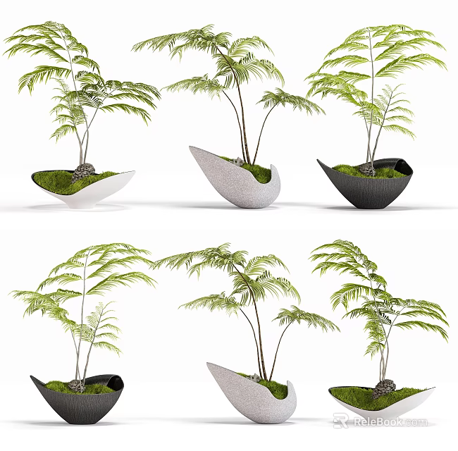 Bonsai Potted Plants with Green Leafy Foliage in Unique Shaped Ceramic Pots 3d model 