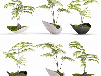 Bonsai Potted Plants with Green Leafy Foliage in Unique Shaped Ceramic Pots 3d model