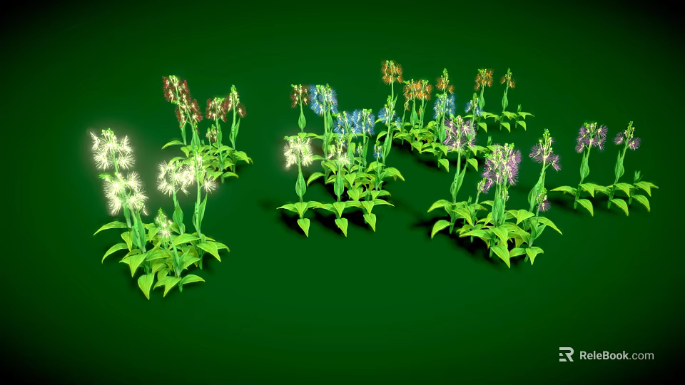 Herbaceous Plants With Various Colored Flowers Arranged In Clusters On Green Background 3d model 