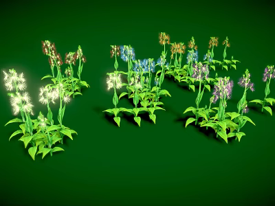 Herbaceous Plants With Various Colored Flowers Arranged In Clusters On Green Background 3d model