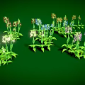 Herbaceous Plants With Various Colored Flowers Arranged In Clusters On Green Background