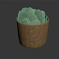 Brown Woven Storage Basket With Green Cactus Pads For Home Decor
