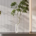 Modern Countertop Decor with Glass Vases and Fresh Green Plants