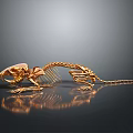 Golden Lizard Skeleton with Detailed Skeletal Structure and Reflection on Dark Background 3d model