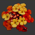 Vibrant Plant with Red and Yellow Flowers in Spherical Bloom Arrangement on Dark Background
