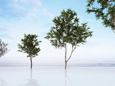 Tall Green Arbor Trees Growing Outdoors With Clear Blue Sky Background And Fresh Foliage 3d model