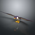 Flying Eagle With Spread Wings Yellow Claws Purple White Body Against Gray Background And Reflection