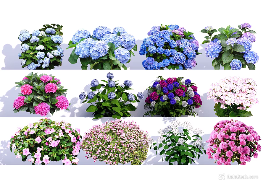 Vibrant Hydrangeas and Mixed Flowers in Various Colors for Garden Decoration 3d model 