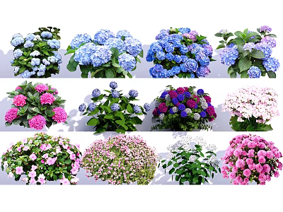 Vibrant Hydrangeas and Mixed Flowers in Various Colors for Garden Decoration 3d model