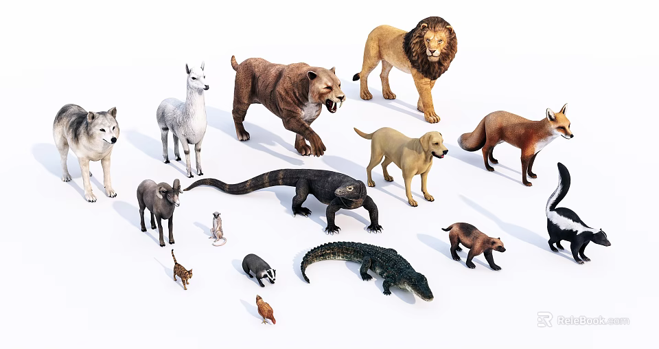 Realistic Reptile Models Collection Featuring Crocodile Lizard And Other Species 3d model 