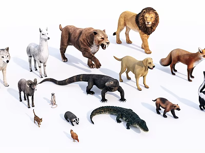 Realistic Reptile Models Collection Featuring Crocodile Lizard And Other Species 3d model