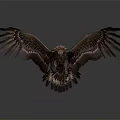 Majestic Brown Eagle Soaring With Spread Wings And Sharp Talons As Flying Animal