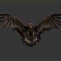 Modern Eagle Large Eagle Raptor 3d model