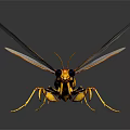 Modern Wasp Bumblebee Insect Fantasy Insect Big Dragonfly 3d model