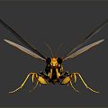 Modern Wasp Bumblebee Insect Fantasy Insect Big Dragonfly 3d model