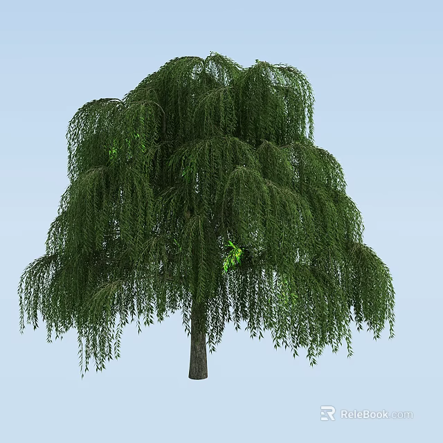 Weeping Willow Tree With Long Hanging Branches And Lush Green Foliage In Outdoor Scene 3d model 