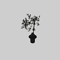 Decorative Ornament Set With Bonsai Tree Green Leaves Black Pot And Stone Accents