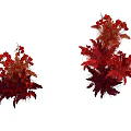 Elegant Red Floral Arrangement with Red Leaves and Blossoms for Decorative Design