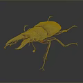 Giant Stag Beetle with Large Mandibles and Dark Exoskeleton on Gray Background