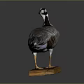 Taxidermy Goose With Gray and White Plumage Standing on Wooden Base Display Decoration