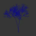 Lush Green Tree with Two Trunks and Foliage Isolated on Black Background