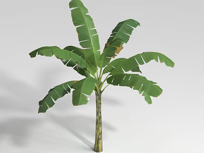 Decorative Green Shrub With Large Leaves And Brown Trunk On White Background 3d model