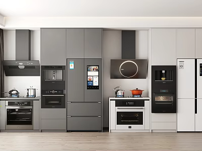 Modern Kitchen With Gray And White Cabinets Built-in Appliances Refrigerator Oven Stove And Range Hood 3d model