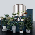 Blue Multi Tiered Curved Design Commercial Display Stand With Flowers Bouquets Vases And Blooming Sign