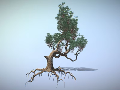 Tall Tree With Exposed Roots Twisted Trunk And Green Foliage In Light Blue Sky 3d model