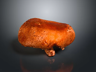 Brown Mushroom With Textured Surface And Short Stem On Gray Background Showing Clear Reflection 3d model