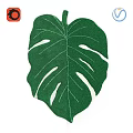 Green Monstera Leaf Pattern Square Carpet for Home Decor with Soft Texture and Modern Design