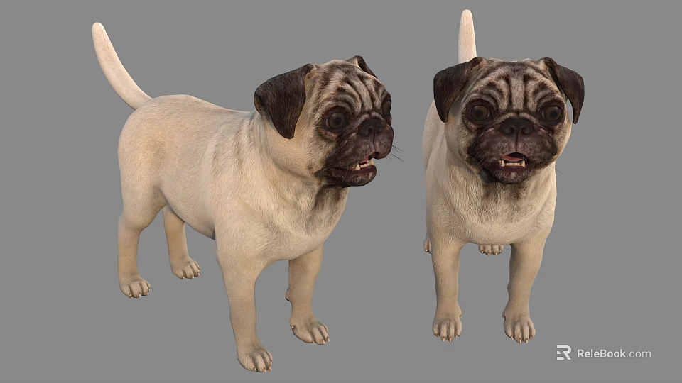 Two Adorable Pugs Standing In Different Poses With Light Colored Fur And Black Faces 3d model 