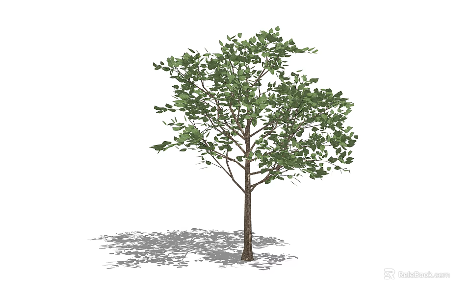 Lush Arbor Tree With Green Foliage And Sturdy Trunk Casting Shadow 3d model