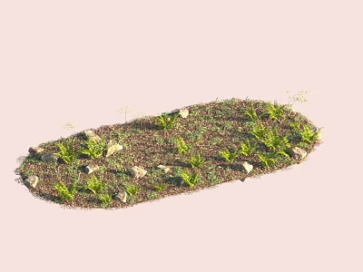 Varieties of Green Flowers and Plants in Oval Garden Bed with Soil and Stones 3d model