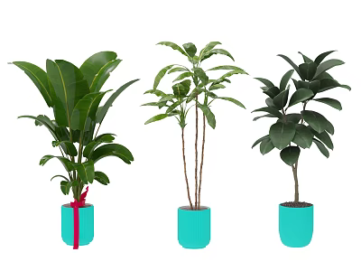 Three Lush Arbor Trees Planted in Blue Pots with Green Foliage 3d model