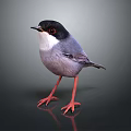 Decorative Bird Figurine With Black Head White Belly And Red Legs For Home Decor