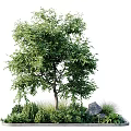 Lush Green Shrub With Dense Foliage Surrounding Plants And Garden Stone