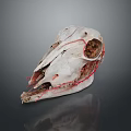 Detailed Animal Skull Adorned With Red Threads On Dark Reflective Surface 3d model