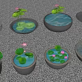 Garden Courtyard With Multiple Stone Pots Featuring Lotus Leaves And Flowers