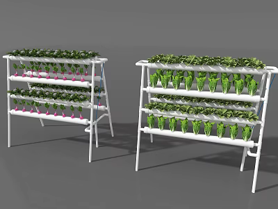 White Multi Tier Vertical Planting Racks with Fresh Green Vegetables 3d model